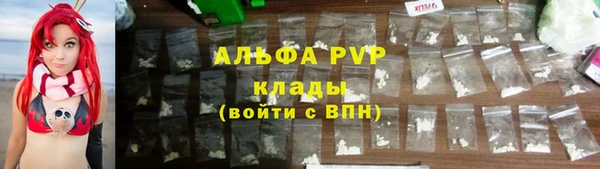стафф Арсеньев