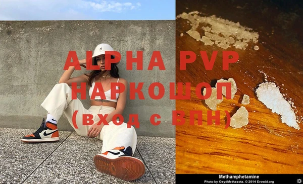 стафф Арсеньев
