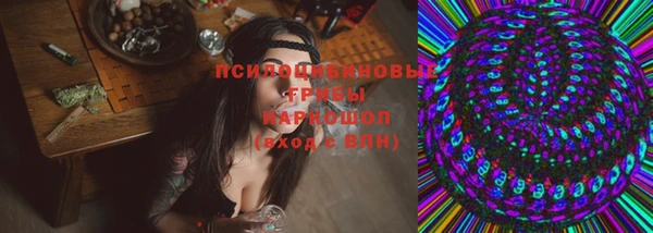 Альфа ПВП Аркадак