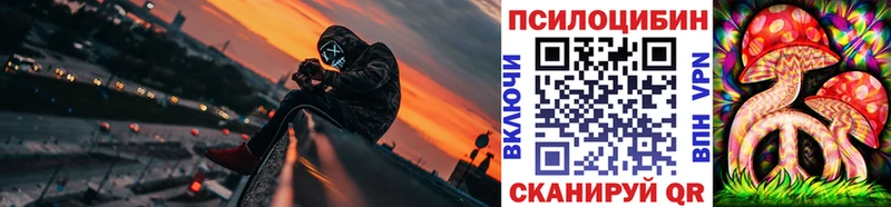 Галлюциногенные грибы Psilocybe Старая Русса