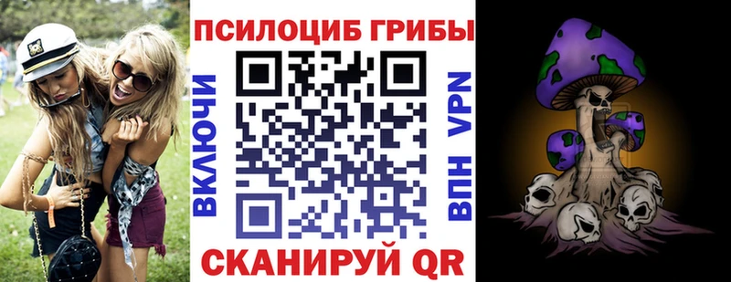 Галлюциногенные грибы Cubensis  Старая Русса 